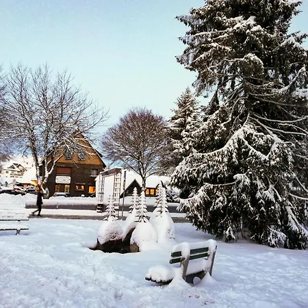 Lägenhet Haus Elena Bestwig