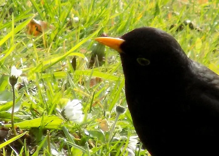 Haus Elena 贝斯特维格