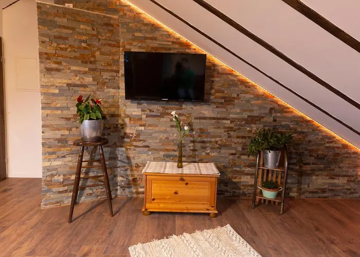 Haus Elena 公寓 贝斯特维格