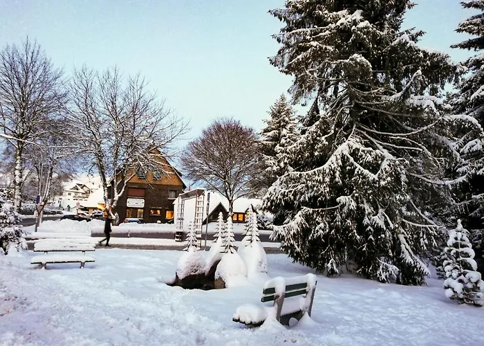 Apartament Haus Elena Bestwig