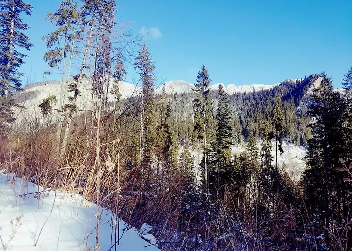 公寓 Haus Elena 贝斯特维格